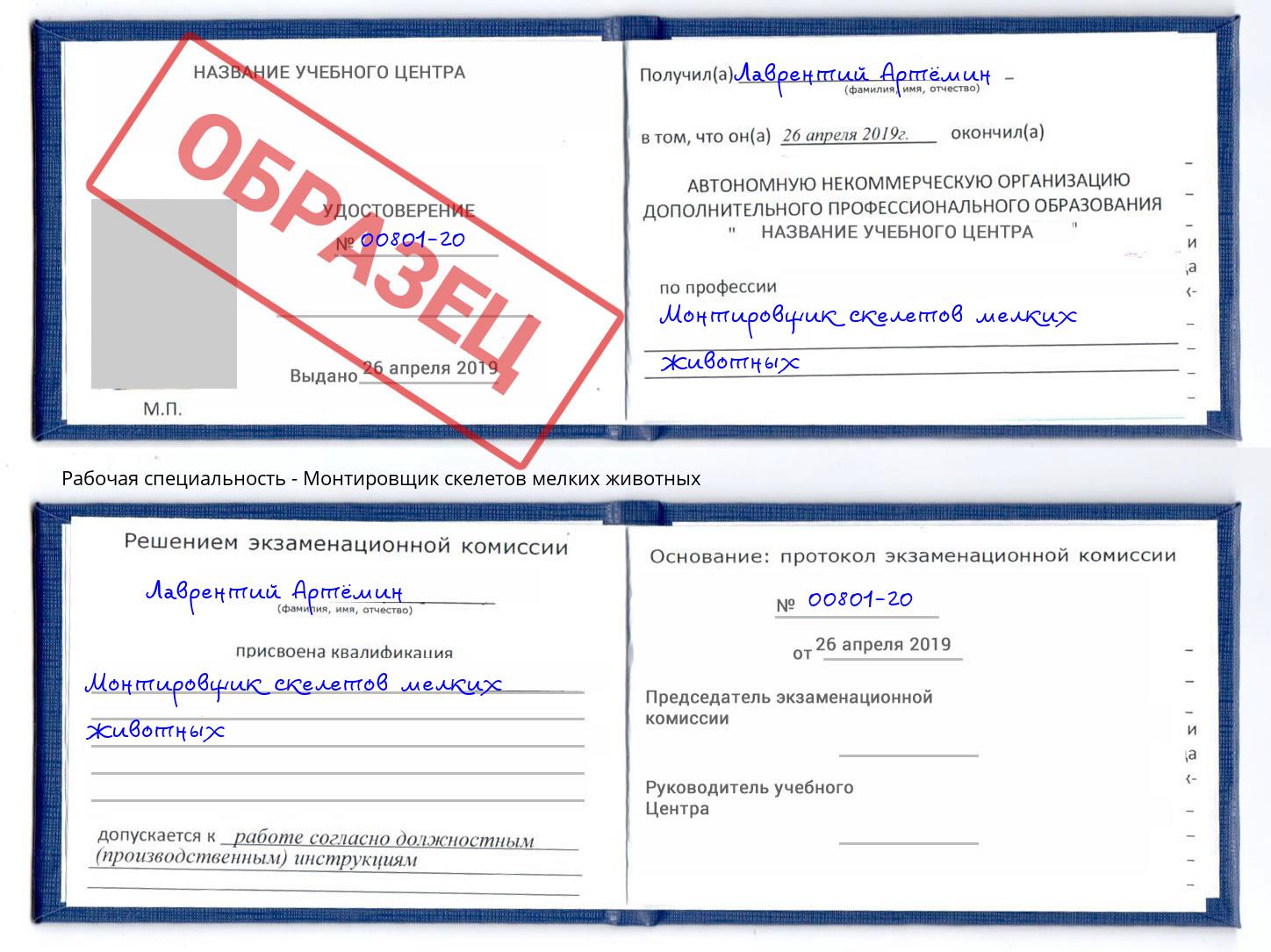 Монтировщик скелетов мелких животных Каменск-Шахтинский