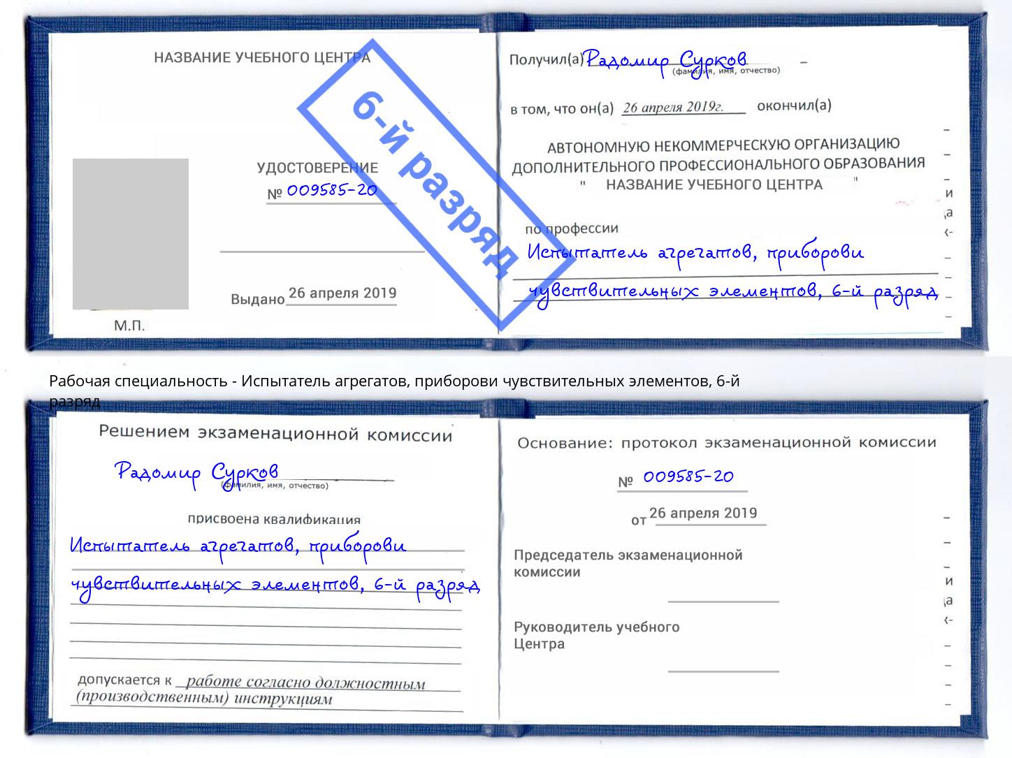 корочка 6-й разряд Испытатель агрегатов, приборови чувствительных элементов Каменск-Шахтинский