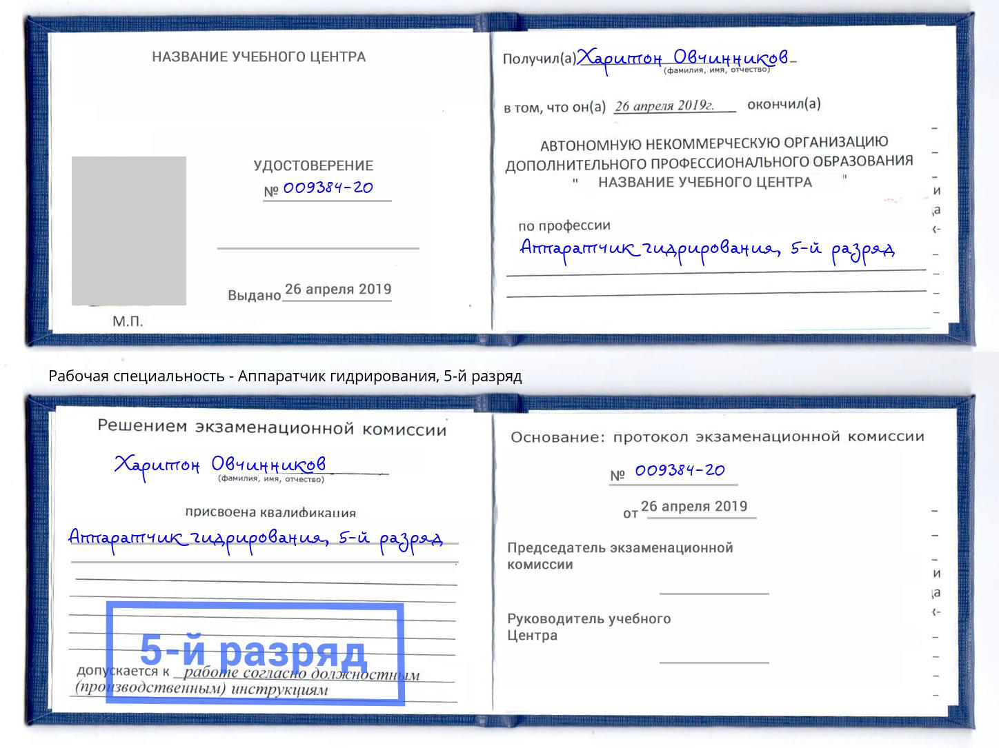 корочка 5-й разряд Аппаратчик гидрирования Каменск-Шахтинский