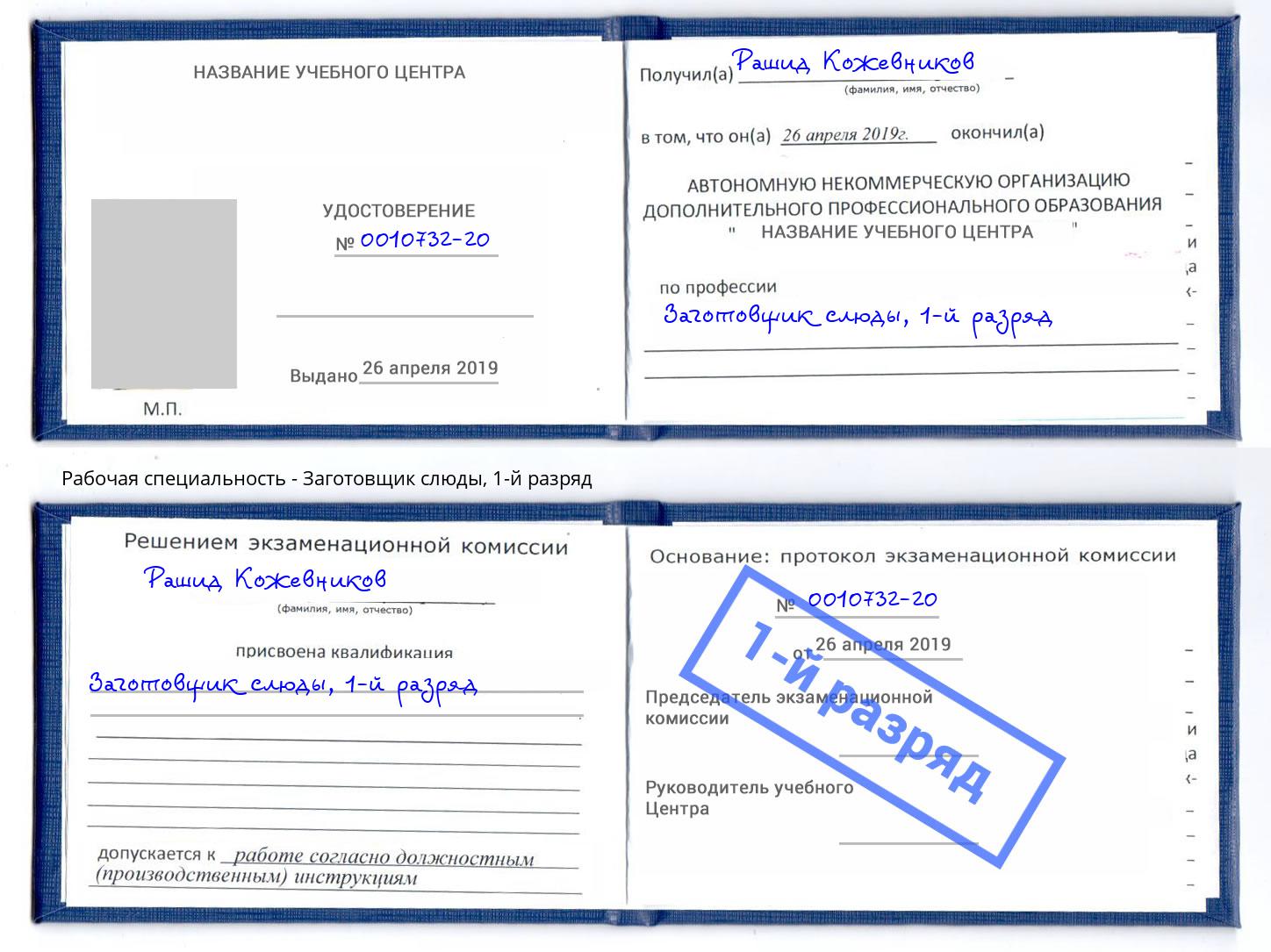 корочка 1-й разряд Заготовщик слюды Каменск-Шахтинский