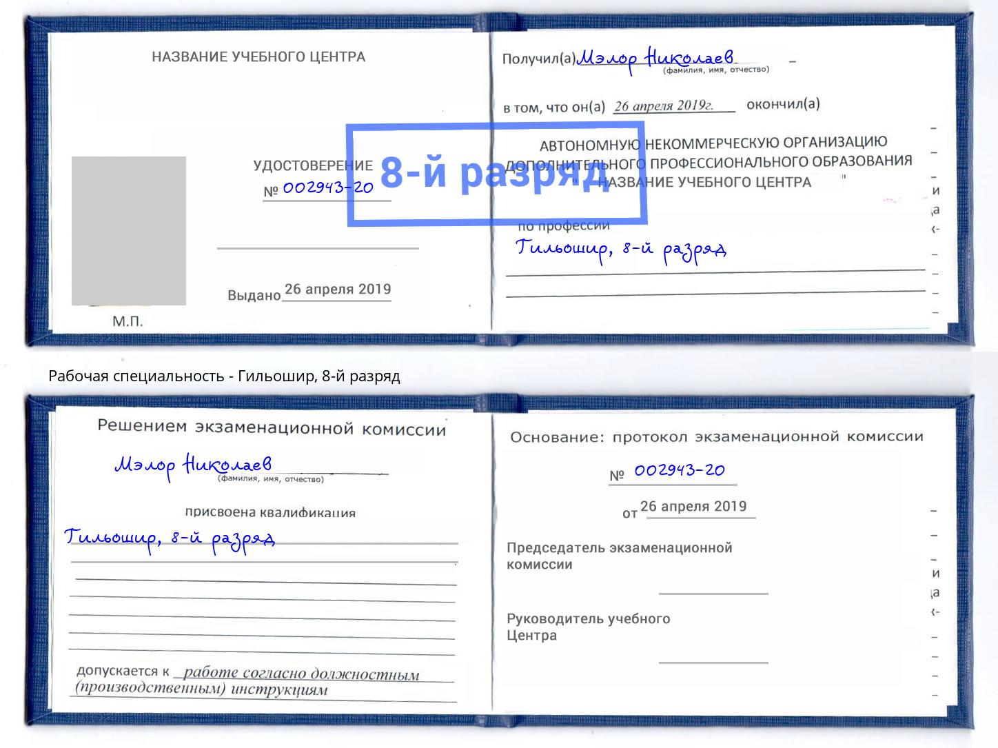 корочка 8-й разряд Гильошир Каменск-Шахтинский